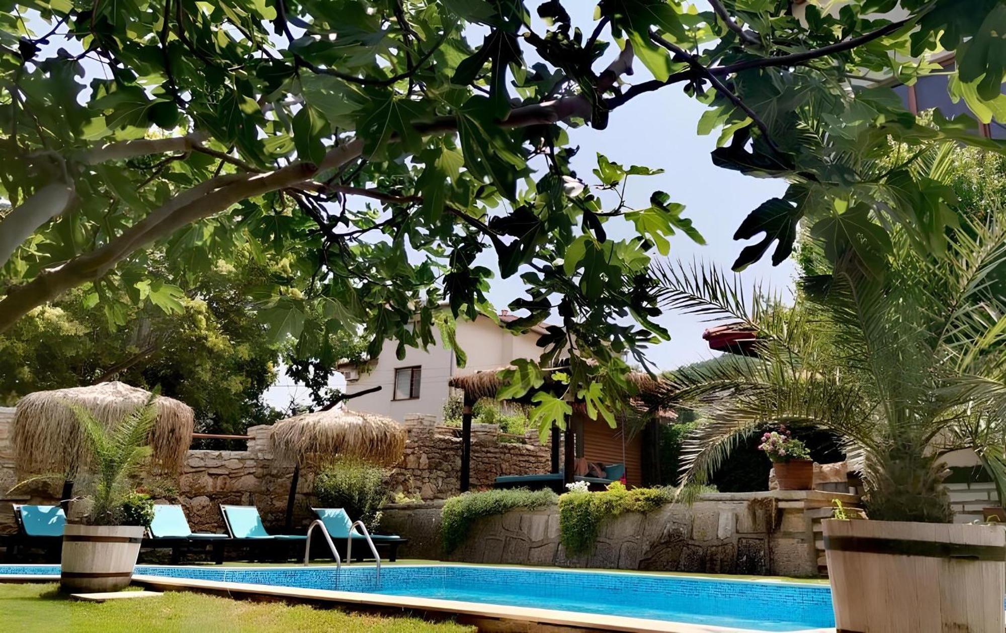 Villa Komitata-Pool And Jacuzzi Bałczik Zewnętrze zdjęcie